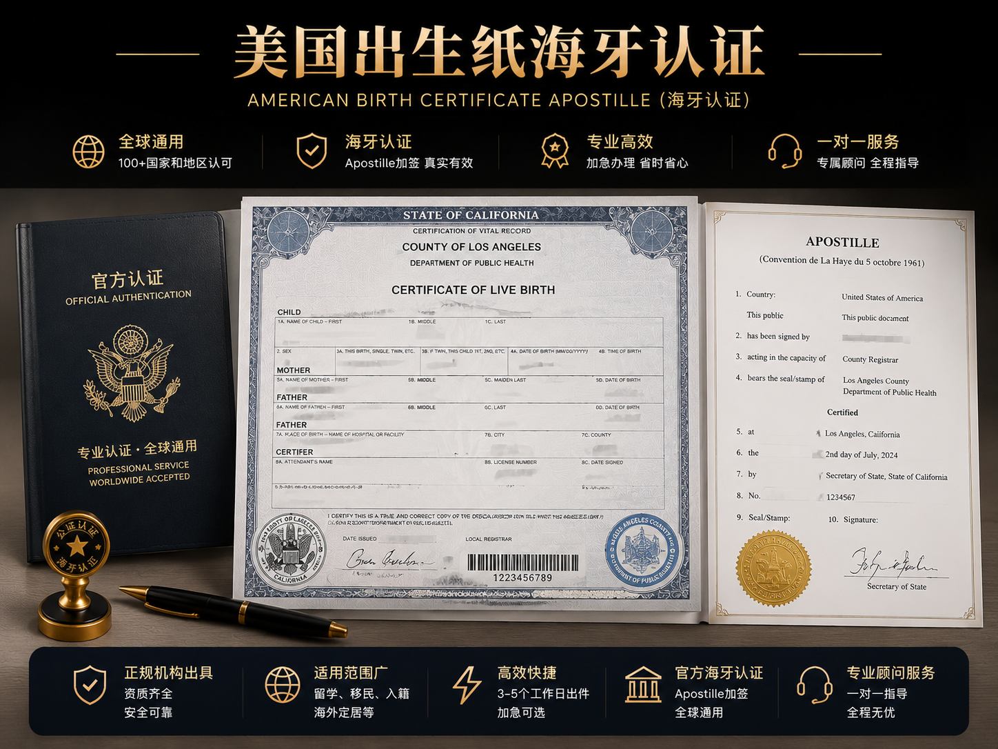 美国出生纸海牙认证